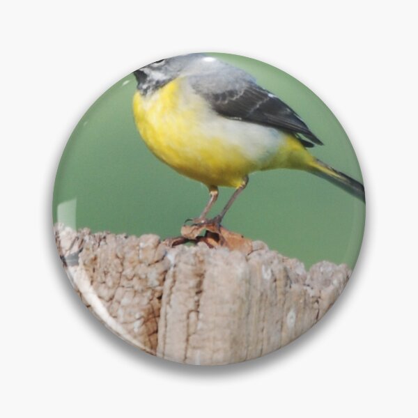Item preview, Grey wagtail designed and sold by woolleyfir.
