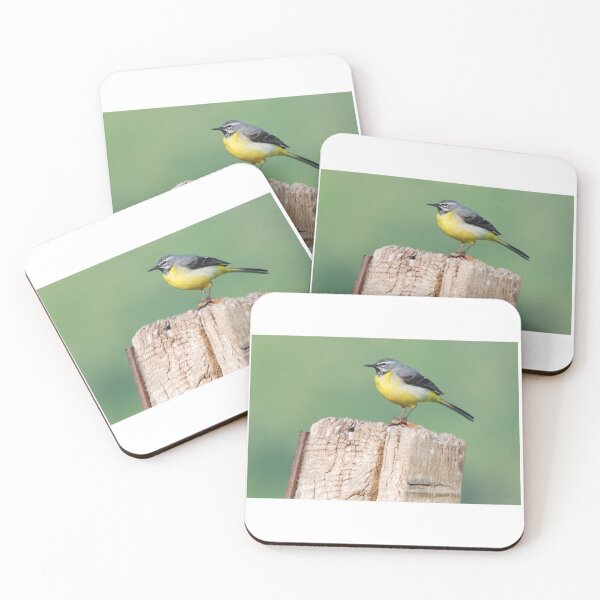 Item preview, Grey wagtail designed and sold by woolleyfir.