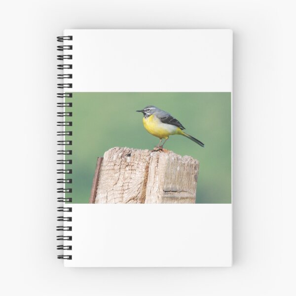 Item preview, Grey wagtail designed and sold by woolleyfir.