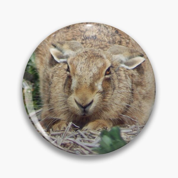 Item preview, There's a hare in my beans designed and sold by woolleyfir.