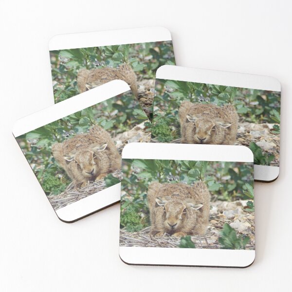 Item preview, There's a hare in my beans designed and sold by woolleyfir.