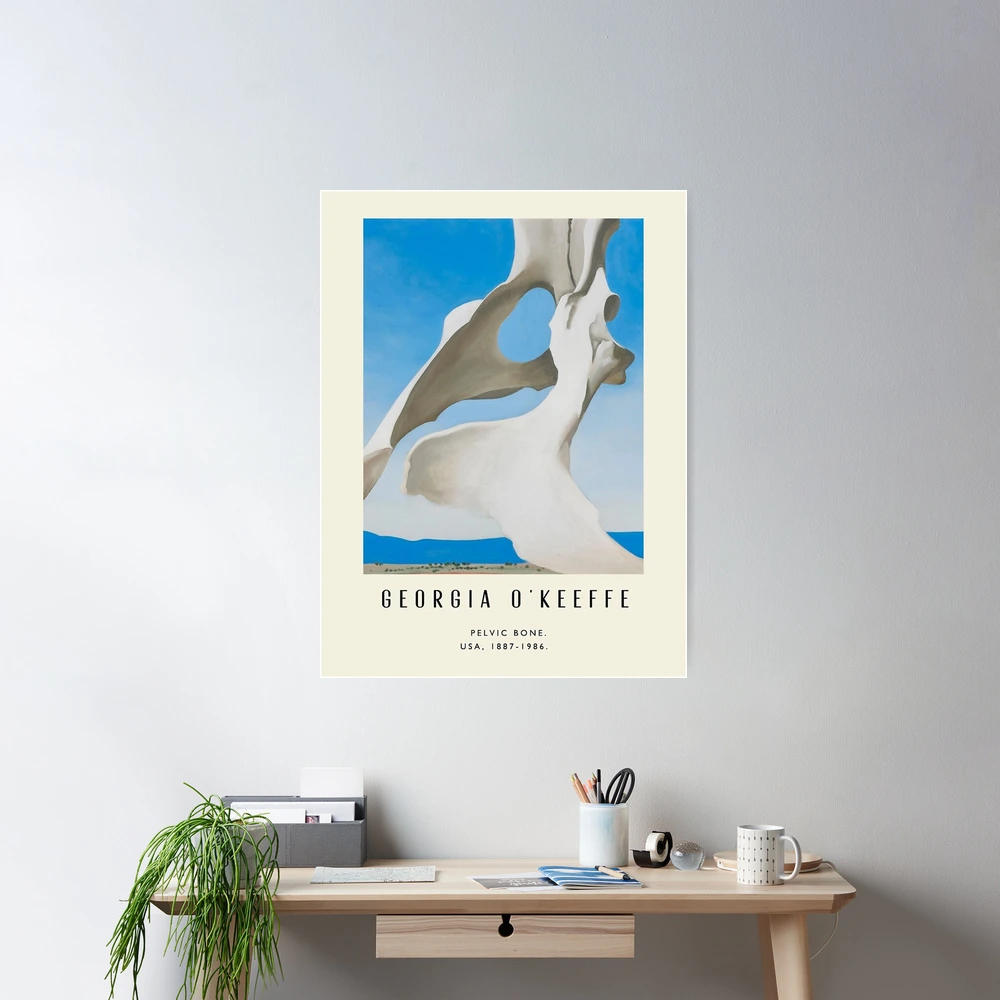 GEORGIA O'KEEFFE ポスター Original Georgia O'keeffe Exhibition Poster - New York
