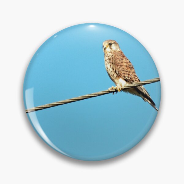 Item preview, Kestrel on a wire designed and sold by woolleyfir.