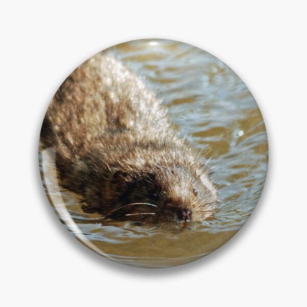 Item preview, Water vole designed and sold by woolleyfir.