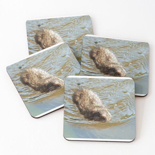 Item preview, Water vole designed and sold by woolleyfir.