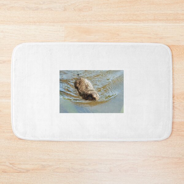 Item preview, Water vole designed and sold by woolleyfir.