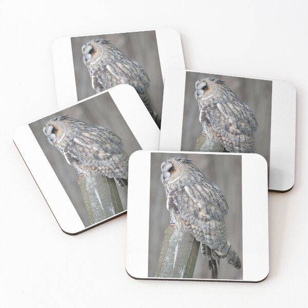 Item preview, Long Eared Owl designed and sold by woolleyfir.