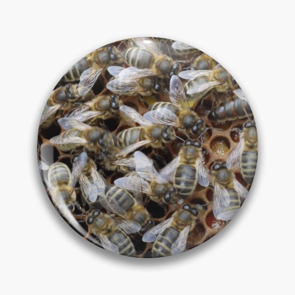 Item preview, Marked queen bee designed and sold by RONALD MACKENZIE.