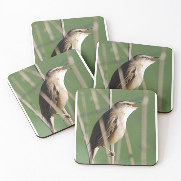 Item preview, Sedge Warbler designed and sold by woolleyfir.