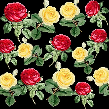 Artwork thumbnail, Red Yellow Roses by creaturespie