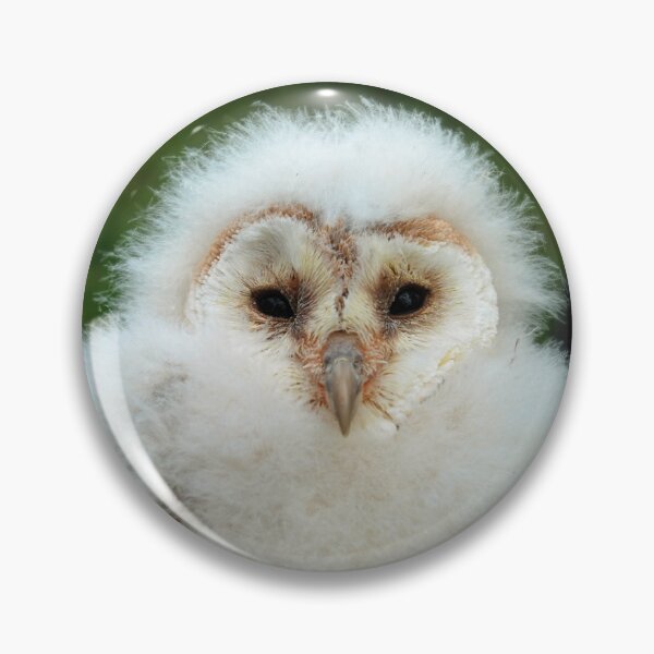 Item preview, Barn owl chick designed and sold by woolleyfir.