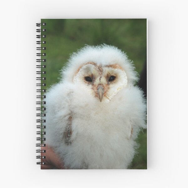 Item preview, Barn owl chick designed and sold by woolleyfir.