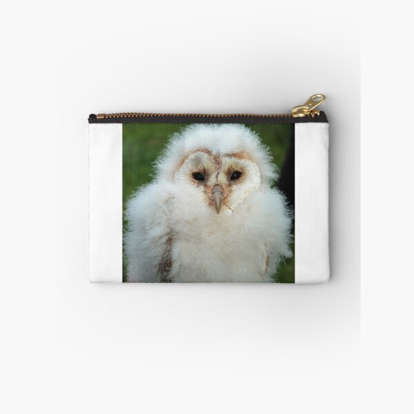 Item preview, Barn owl chick designed and sold by woolleyfir.