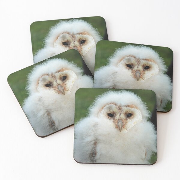 Item preview, Barn owl chick designed and sold by woolleyfir.