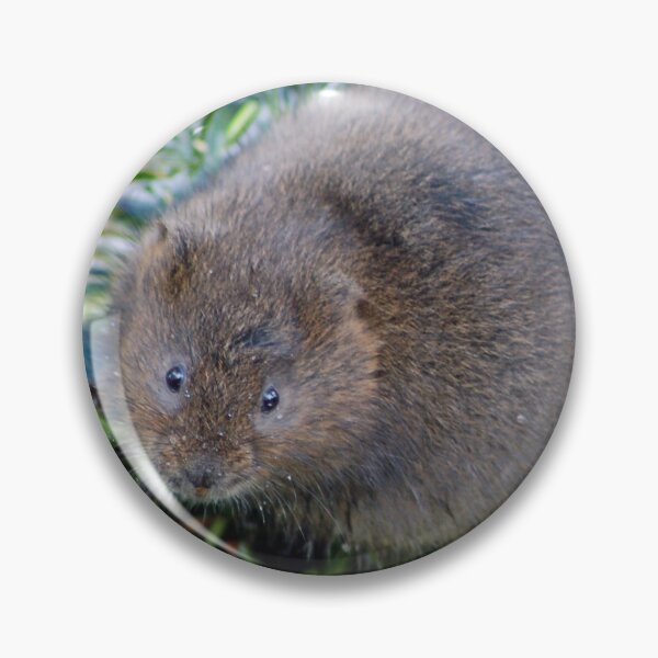 Item preview, Water vole designed and sold by woolleyfir.