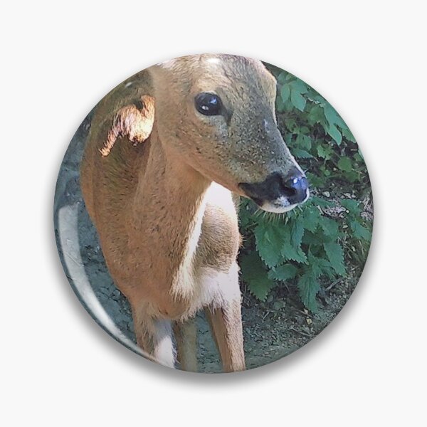 Item preview, Roe deer designed and sold by woolleyfir.