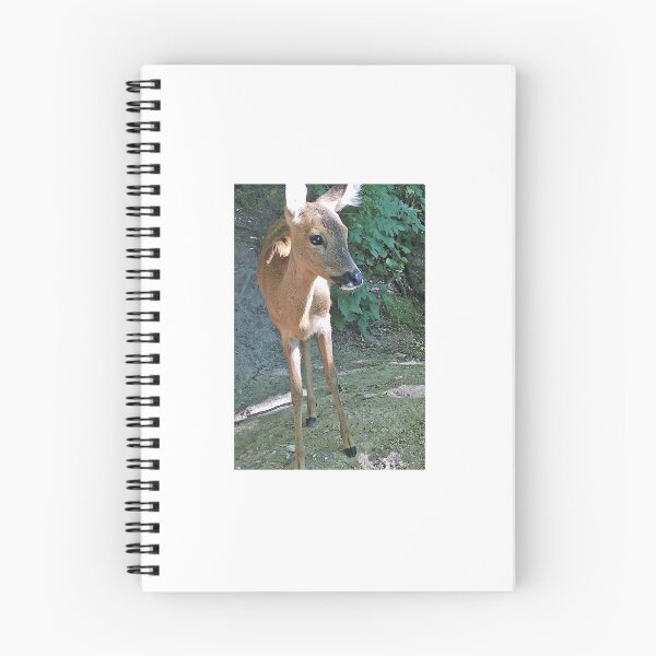 Item preview, Roe deer designed and sold by woolleyfir.
