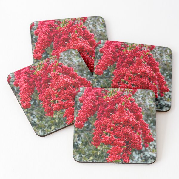 Item preview, All red designed and sold by veraD58.