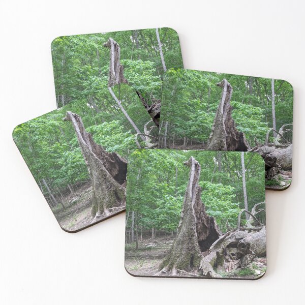 Item preview, Hollow Broken Tree Photographic Image designed and sold by AustaArt.