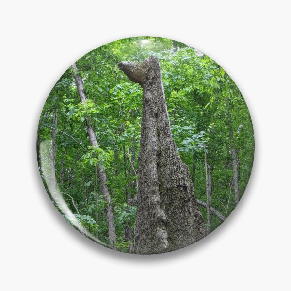 Item preview, Broken Tree Standing Tall Photographic Image designed and sold by AustaArt.