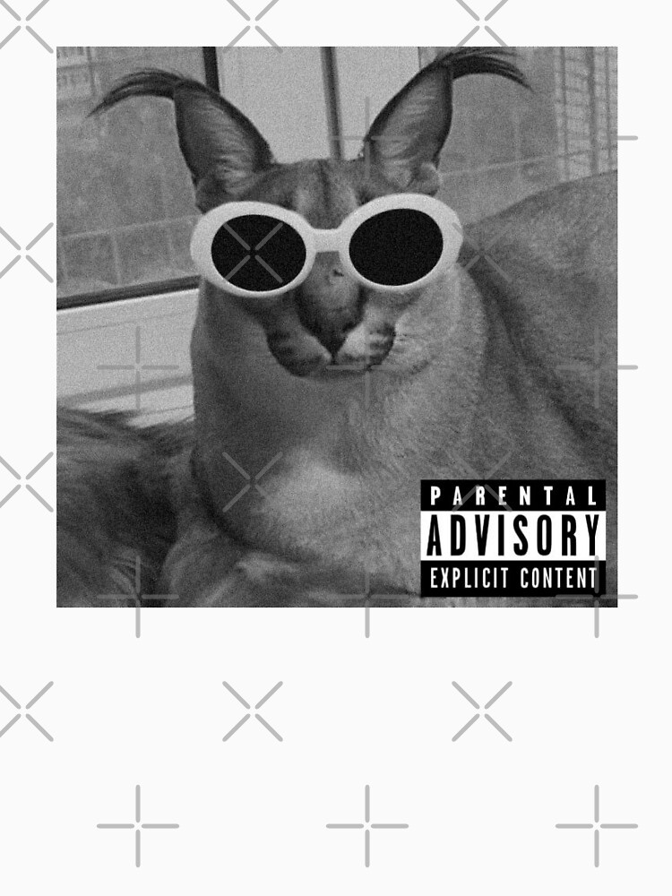 "Big Floppa Nirvana glasses" Tshirt by neuronic Redbubble