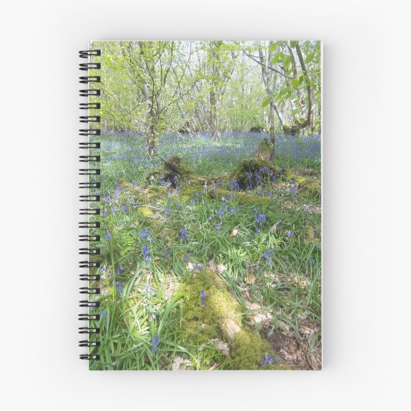 Item preview, Bluebell Woods,Cader Ifan Goch designed and sold by Derren Jones.