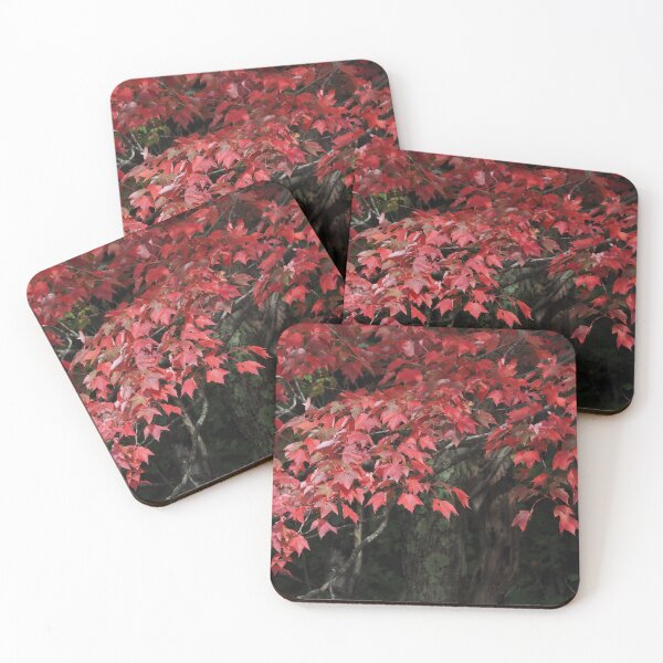 Item preview, Red Maple 1 designed and sold by litwphoto.