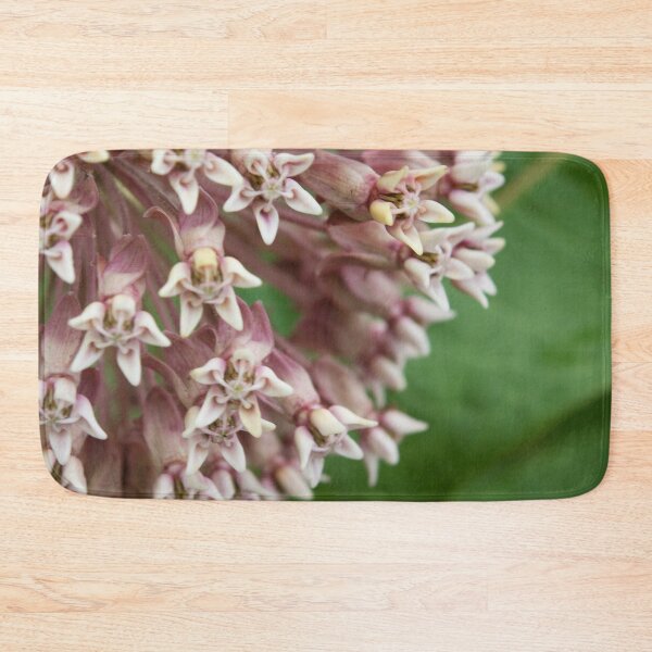 Item preview, Native Plants of the North designed and sold by Hillary Sivec.