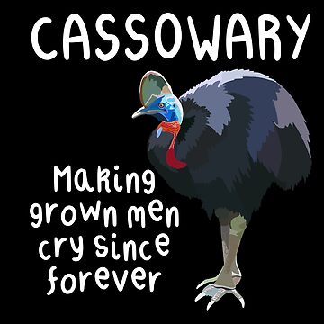 Artwork thumbnail, C is for Cassowary by thezoogirl