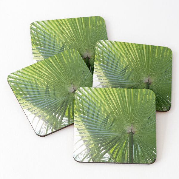 Item preview, Fan Palm leaves photography designed and sold by orangerinka.