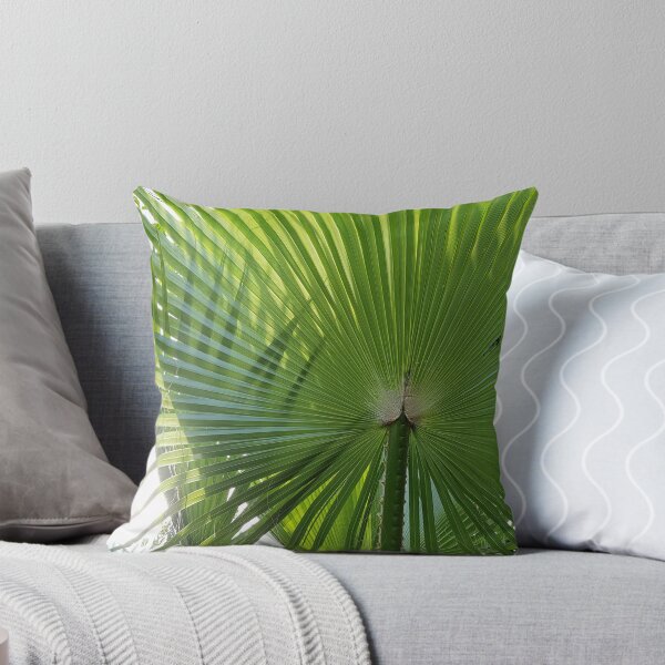 Item preview, Fan Palm leaves photography designed and sold by orangerinka.