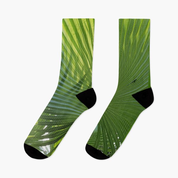 Item preview, Fan Palm leaves photography designed and sold by orangerinka.