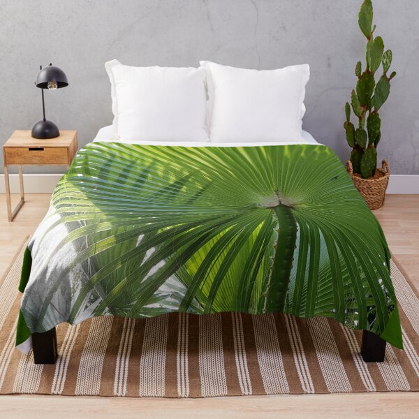 Item preview, Fan Palm leaves photography designed and sold by orangerinka.