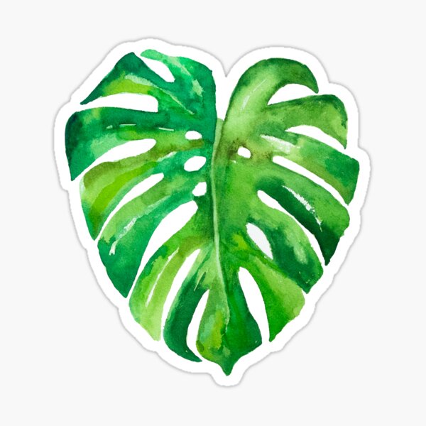 Vista previa del artículo con la obra «Acuarela hoja de monstera. Watercolor Monstera Leaf», diseñado y vendido por ByMonStudio.