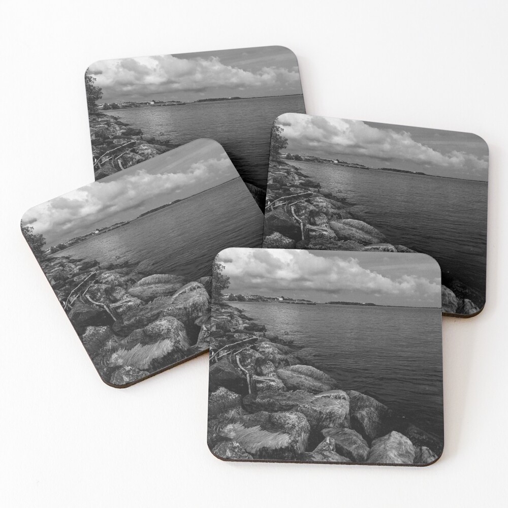 Item preview, Coasters (Set of 4) designed and sold by KL4721.