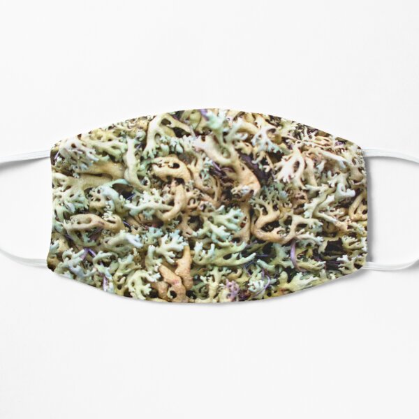 Rainbow Green Lichen Abstract Flat Mask