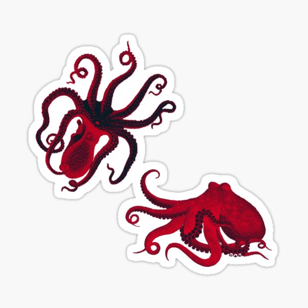 Cards Against Humanity: A pangender octopus who roams the cosmos in search  of love. Sticker for Sale by elliot is here