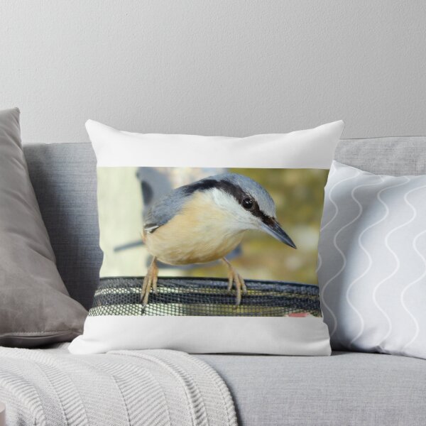 Item preview, Nuthatch designed and sold by hobgoblyn.
