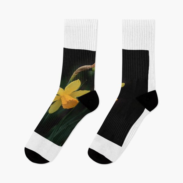 Item preview, Yellow spring flowers on black background designed and sold by olena2552.
