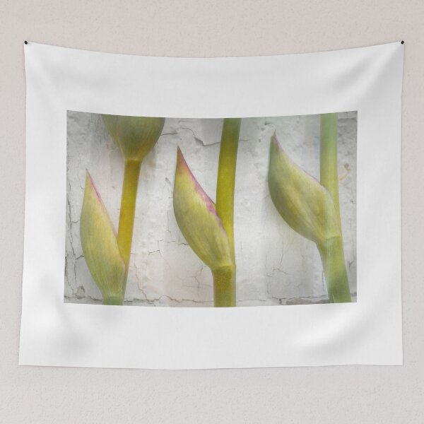 Item preview, 3 designed and sold by Jim Love.