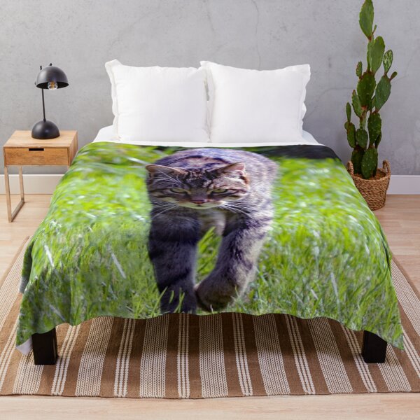Item preview, A Gorgeous Scottish Wildcat designed and sold by Karen Thomson.