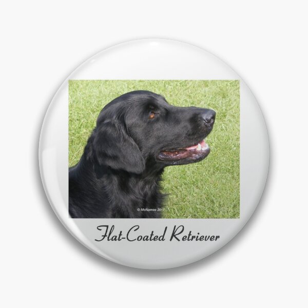 Item preview, Black Flat-Coated Retriever designed and sold by Terry McNamee.