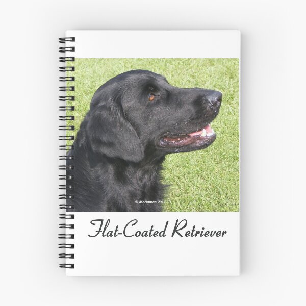 Item preview, Black Flat-Coated Retriever designed and sold by Terry McNamee.