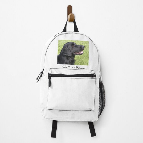 Item preview, Black Flat-Coated Retriever designed and sold by Terry McNamee.