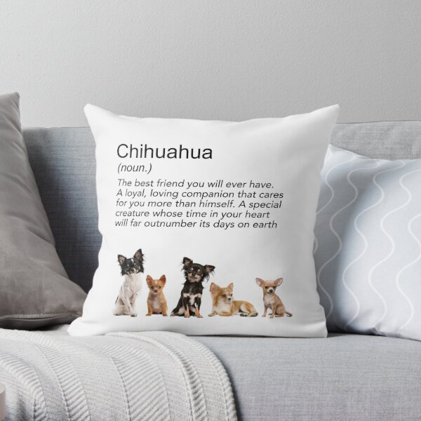 16x16 JannaSalakDesigns Chihuahua Special Delivery Throw Pillow Multicolor
