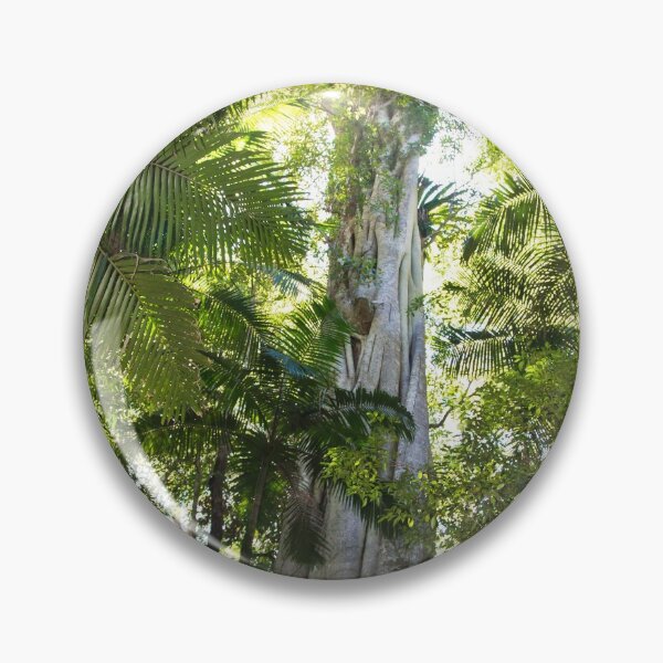 Item preview, Sub-tropical Rainforest and majestic fig tree reaching to the sky designed and sold by Bellamaree.