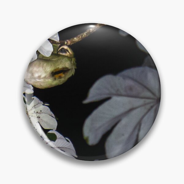 Item preview, Costa Rica Three Toed Sloth designed and sold by darren-j-mcleod.
