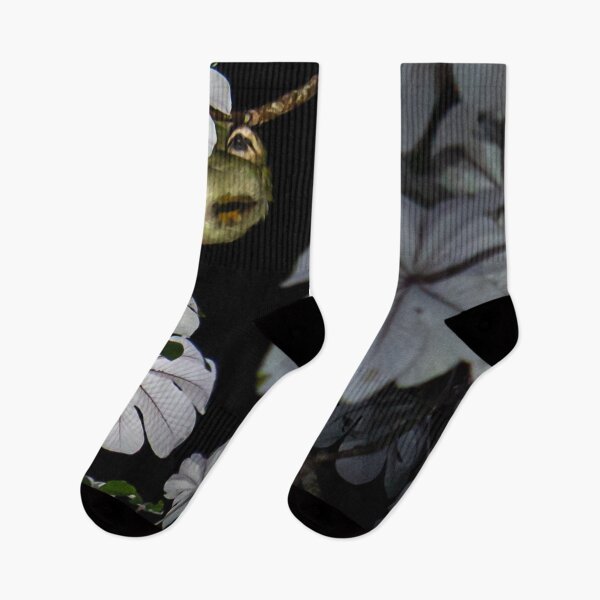 Item preview, Costa Rica Three Toed Sloth designed and sold by darren-j-mcleod.