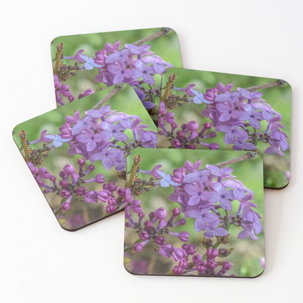 Item preview, Lilacs blooming in the Spring designed and sold by TBirdPhotos.