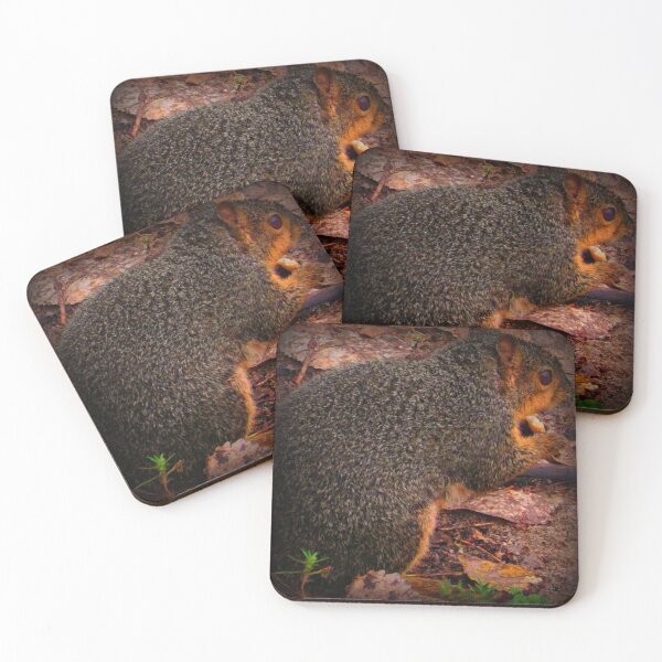 Item preview, Rationing For Winter designed and sold by Vince Scaglione.